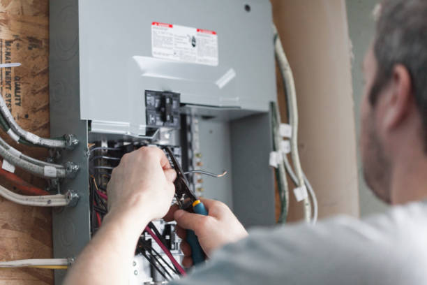 Best Electrical Panel Upgrades  in Oostburg, WI